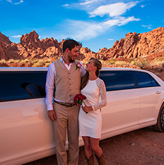 Valley of Fire Wedding Couple